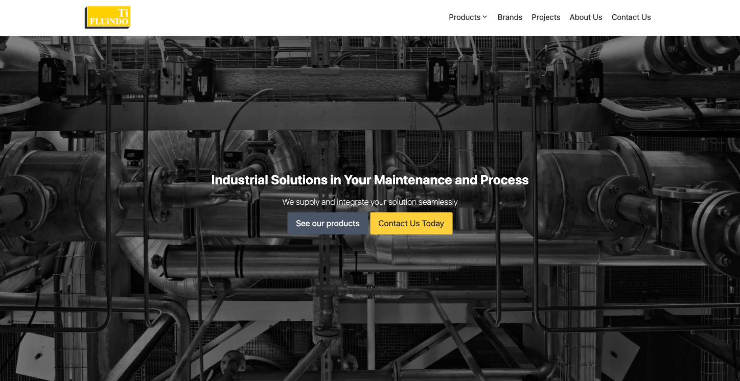 Fluindo Website